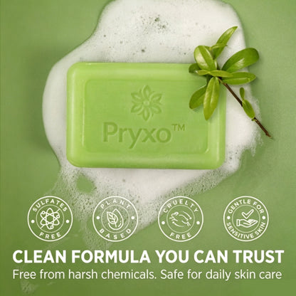 Pryxo™The Japanese AntiFungal Relief Soap Bar(The second item is 60% off!)