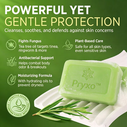 Pryxo™The Japanese AntiFungal Relief Soap Bar(The second item is 60% off!)